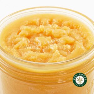 Q759A3 ALIENCOOKIES CAVIAR WCCANNABIS Buy Caviar – Alien Cookies (Hybrid) at Wccannabis Online Shop