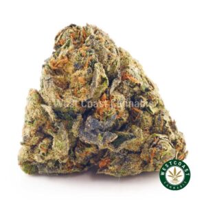Buy weed Granddaddy Purple AA at wccannabis weed dispensary & online pot shop Buy weed Granddaddy Purple AA at wccannabis weed dispensary & online pot shop