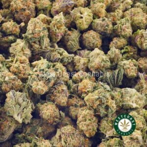 Buy weed Tropicana Punch AAAA (Popcorn Nugs) at wccannabis weed dispensary & online pot shop