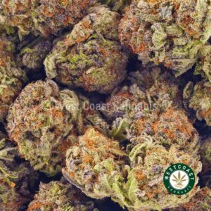 Buy weed Strawberry Amnesia wccannabis weed dispensary & online pot shop Buy weed Strawberry Amnesia wccannabis weed dispensary & online pot shop