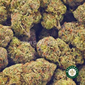 Buy weed Supernova AAA wccannabis weed dispensary & online pot shop Buy weed Supernova AAA wccannabis weed dispensary & online pot shop