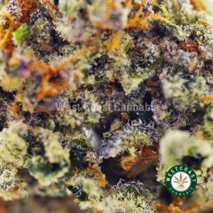 Buy weed Orange Kush AAA wccannabis weed dispensary & online pot shop