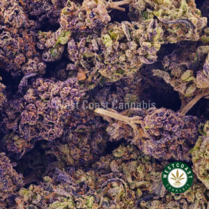 Buy weed Cherry Diesel AAA wccannabis weed dispensary & online pot shop Buy weed Cherry Diesel AAA wccannabis weed dispensary & online pot shop