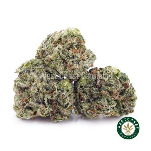 Buy weed Pink Bubba AAAA (Popcorn Nugs) wccannabis weed dispensary & online pot shop