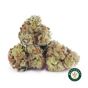 Buy weed Cherry Punch AAA (Popcorn Nugs) wccannabis weed dispensary & online pot shop