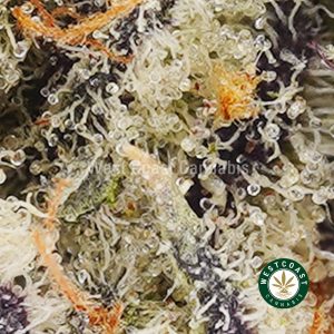 Buy weed Hawaiian Haze AAAA (Popcorn Nugs) wccannabis weed dispensary & online pot shop Buy weed Hawaiian Haze AAAA (Popcorn Nugs) wccannabis weed dispensary & online pot shop