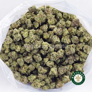 Buy weed Gas Mask AAAA (Popcorn Nugs) wccannabis weed dispensary & online pot shop Buy weed Gas Mask AAAA (Popcorn Nugs) wccannabis weed dispensary & online pot shop