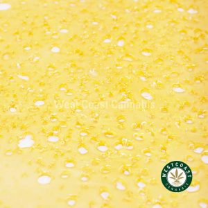 Buy Premium Shatter - Jolly Rancher (Hybrid) at Wccannabis Online Shop