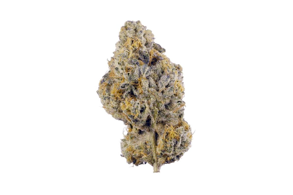 In this article, we’ll look at the Pink Wedding Cake strain, a marijuana bud that has taken the whole country by storm. Keep on reading the blog.