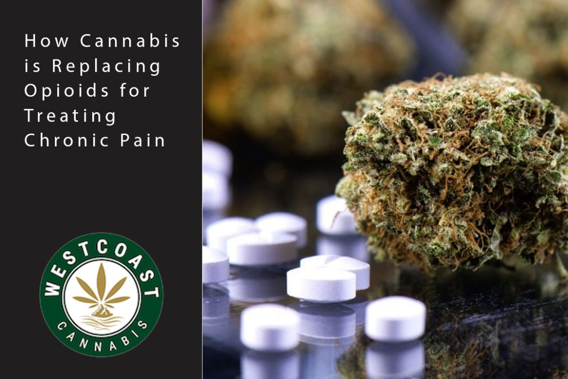 wcc blog opioids