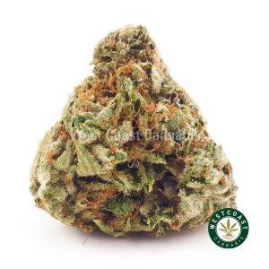 Buy weed Orange Diesel AA wccannabis weed dispensary & online pot shop