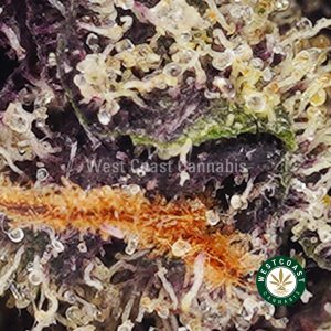 Buy weed Peach Gelato AAAA (Popcorn Nugs) wccannabis weed dispensary & online pot shop