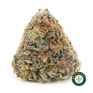 Buy weed Purple Gas AAAA wccannabis weed dispensary & online pot shop