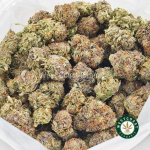 Buy weed Purple Gas AAAA wccannabis weed dispensary & online pot shop Buy weed Purple Gas AAAA wccannabis weed dispensary & online pot shop