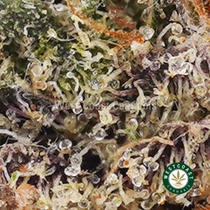 Buy weed Strawberry Banana AAAA wccannabis weed dispensary & online pot shop