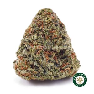 Buy weed Platinum Girl Scout Cookies AAAA wccannabis weed dispensary & online pot shop Buy weed Platinum Girl Scout Cookies AAAA wccannabis weed dispensary & online pot shop