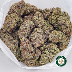 Buy weed Supreme Gas Mask AAAA wccannabis weed dispensary & online pot shop Buy weed Supreme Gas Mask AAAA wccannabis weed dispensary & online pot shop