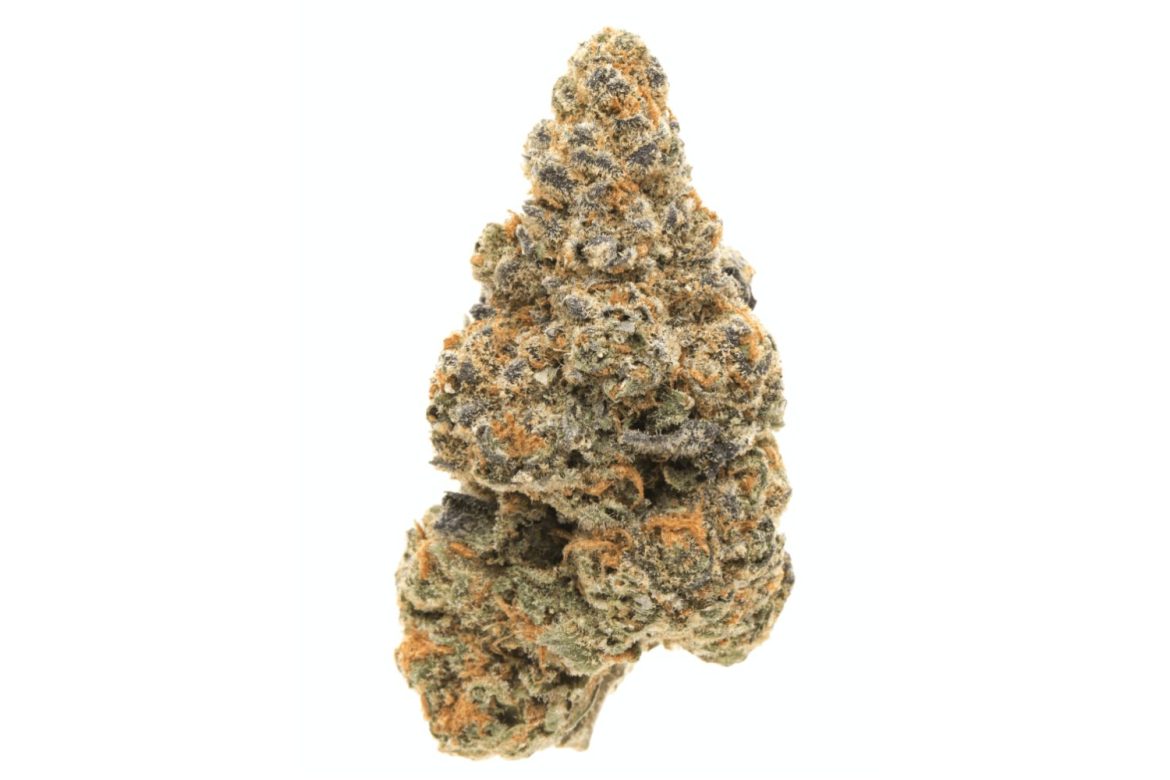 Whether you’re smoking the Girl Scout Cookies strain or something else, cannabis will keep you locked to your couch, watching old movies & happy. 