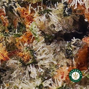 Buy weed Grapefruit Haze AAA wccannabis weed dispensary & online pot shop Buy weed Grapefruit Haze AAA wccannabis weed dispensary & online pot shop