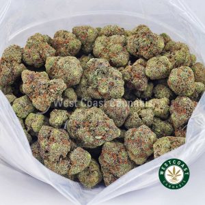 Buy weed Grapefruit Haze AAA wccannabis weed dispensary & online pot shop Buy weed Grapefruit Haze AAA wccannabis weed dispensary & online pot shop
