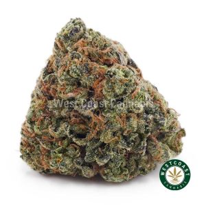 Buy weed Stardawg AAA wccannabis weed dispensary & online pot shop Buy weed Stardawg AAA wccannabis weed dispensary & online pot shop