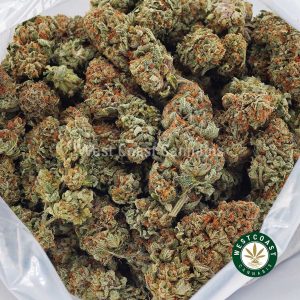Buy weed Peanut Butter AAA wccannabis weed dispensary & online pot shop Buy weed Peanut Butter AAA wccannabis weed dispensary & online pot shop