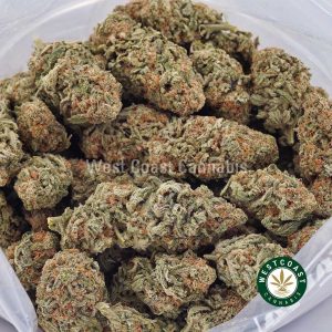 Buy weed White Fire OG AAAA wccannabis weed dispensary & online pot shop Buy weed White Fire OG AAAA wccannabis weed dispensary & online pot shop
