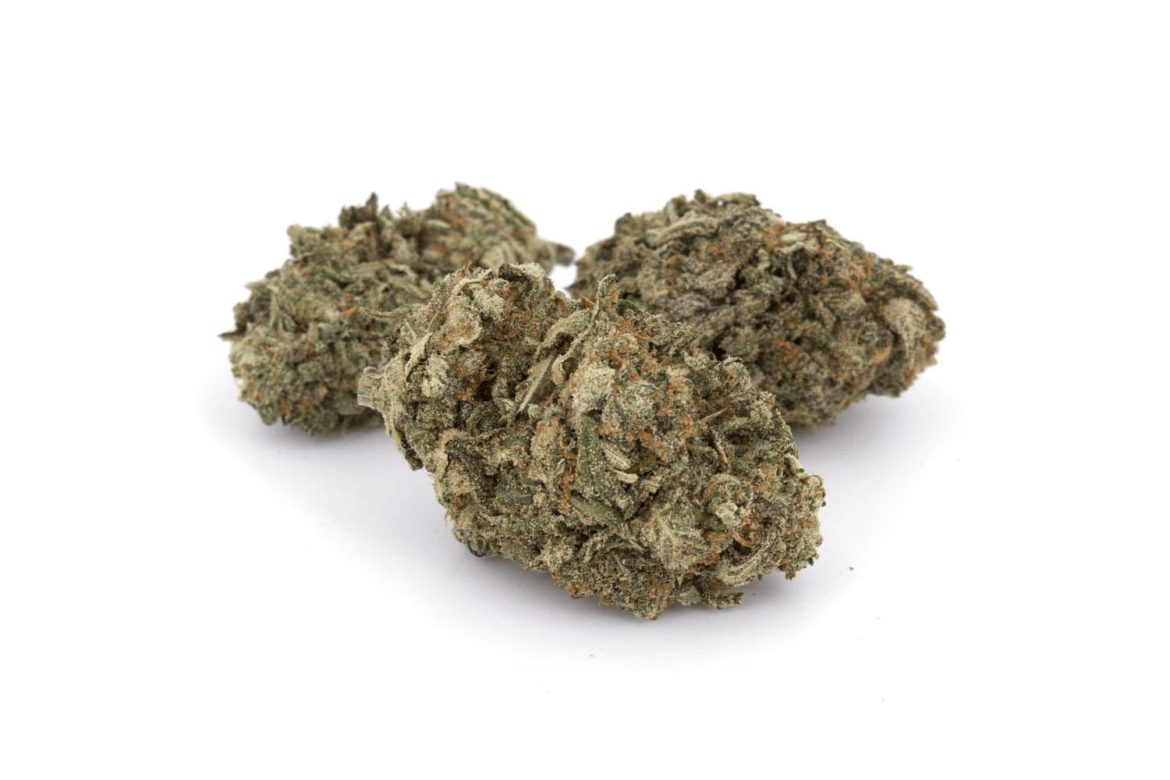 In this comprehensive guide, we are your enthusiastic companions, ready to introduce you to the phenomenal Duke Nukem strain. Read on blog!