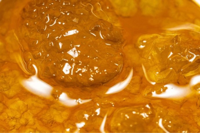 The Terp Sauce