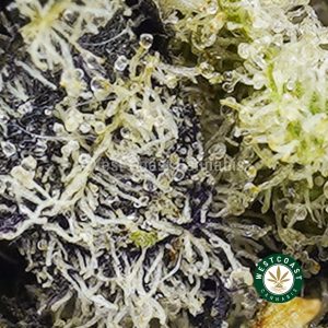 Buy weed White Death AAAA wccannabis weed dispensary & online pot shop Buy weed White Death AAAA wccannabis weed dispensary & online pot shop
