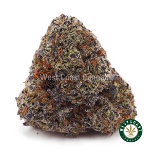 Buy weed Dank Sinatra AAAA wccannabis weed dispensary & online pot shop
