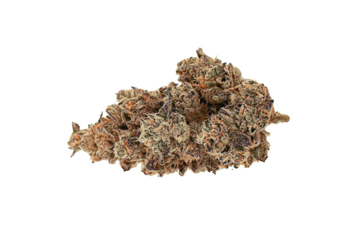 While the Slurricane strain may be somewhat new in the scene, its unique effects and incredible genetics have earned it a cult-like following in the Canadian cannabis culture. 