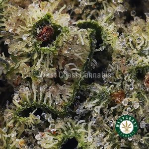 Buy weed Bubba Pie AAAA (Popcorn Nugs) wccannabis weed dispensary & online pot shop