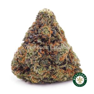 Buy weed Pink Goo AAAA wccannabis weed dispensary & online pot shop
