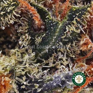Buy weed Grape Cake AAA wccannabis weed dispensary & online pot shop