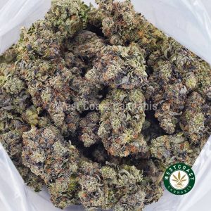 Buy weed Blueberry Bubba AAAA wccannabis weed dispensary & online pot shop Buy weed Blueberry Bubba AAAA wccannabis weed dispensary & online pot shop