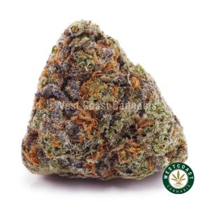 Buy weed Blood Orange Haze AAAA wccannabis weed dispensary & online pot shop