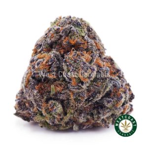 Buy weed Purple Afghani AAAA wccannabis weed dispensary & online pot shop