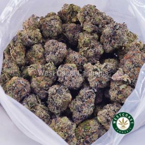 Buy weed Atomic Blueberry AAA wccannabis weed dispensary & online pot shop Buy weed Atomic Blueberry AAA wccannabis weed dispensary & online pot shop
