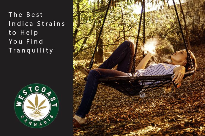 wcc blog indica