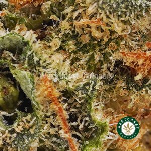 Buy weed Gorilla Bomb AAA wc cannabis weed dispensary & online pot shop