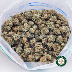 Gorilla Cake AAAA (Popcorn Nugs) 2