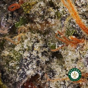 Buy weed Jet Fuel Gelato AAA wc cannabis weed dispensary & online pot shop