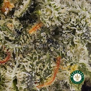 Buy weed Pink Crack AAAA (Popcorn Nugs) wccannabis weed dispensary & online pot shop