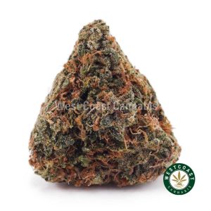 Buy weed Blue Magoo Cookies AAA wccannabis weed dispensary & online pot shop