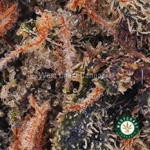 Buy weed Blue Magoo Cookies AAA wccannabis weed dispensary & online pot shop