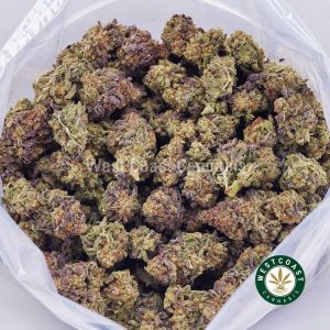Buy weed Maui Punch AAAA wccannabis weed dispensary & online pot shop Buy weed Maui Punch AAAA wccannabis weed dispensary & online pot shop