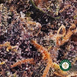Buy weed Huckleberry AAA wccannabis weed dispensary & online pot shop