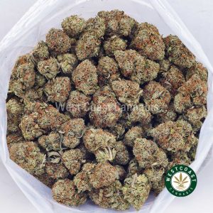 Buy weed Black Gas AA wc cannabis weed dispensary & online pot shop Buy weed Black Gas AA wc cannabis weed dispensary & online pot shop