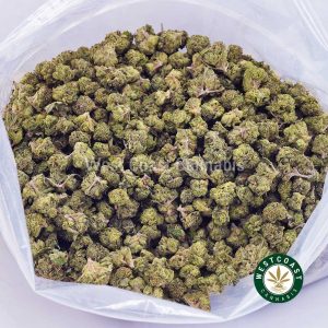 Buy weed Green Gas AAAA (Popcorn Nugs) wc cannabis weed dispensary & online pot shop Buy weed Green Gas AAAA (Popcorn Nugs) wc cannabis weed dispensary & online pot shop